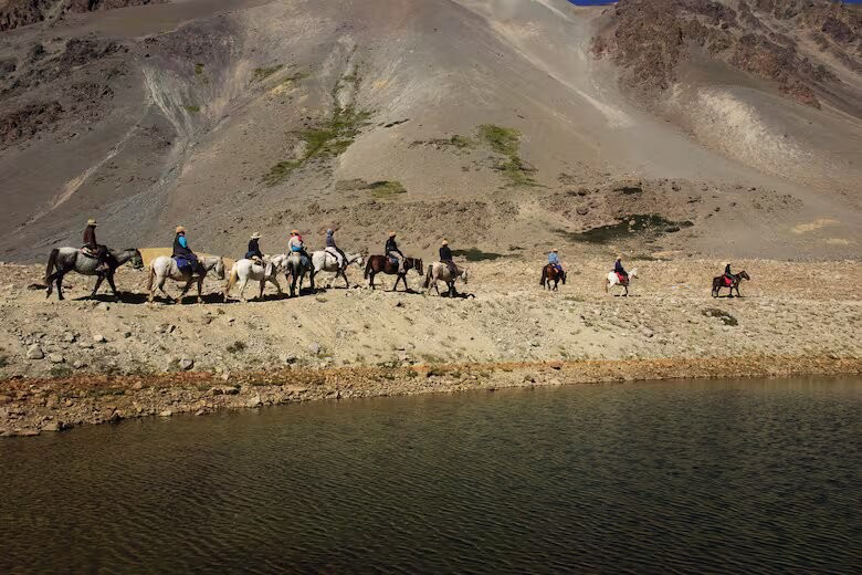 Caballos